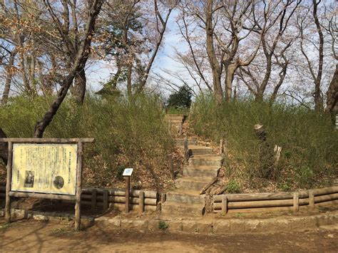 夢見山墳|加瀬台古墳群（神奈川県川崎市） 